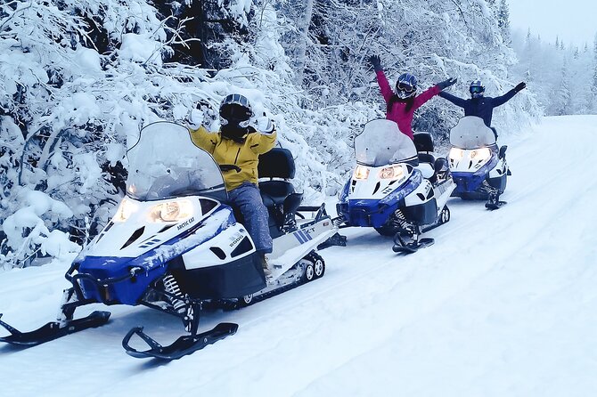 Motos de nieve
